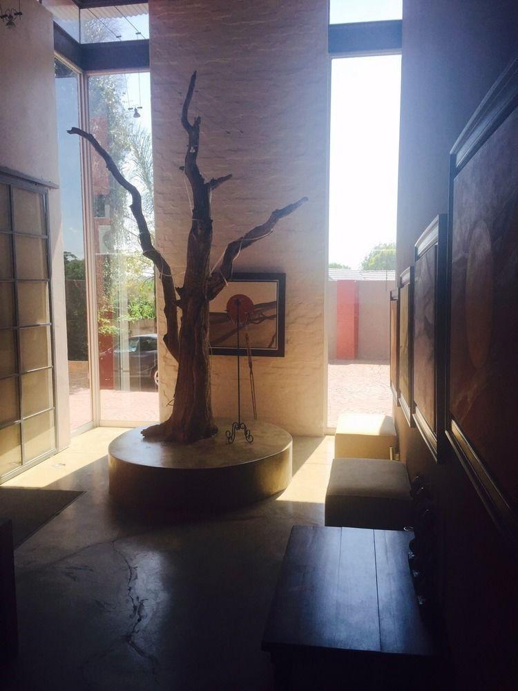 African Moon Corporate House Kempton Park Exteriör bild